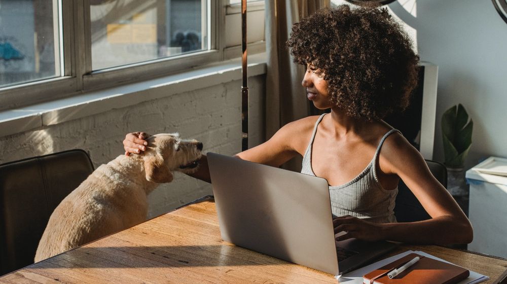 Photo by Samson Katt: https://www.pexels.com/photo/black-remote-worker-with-laptop-caressing-purebred-dog-in-house-5256136/