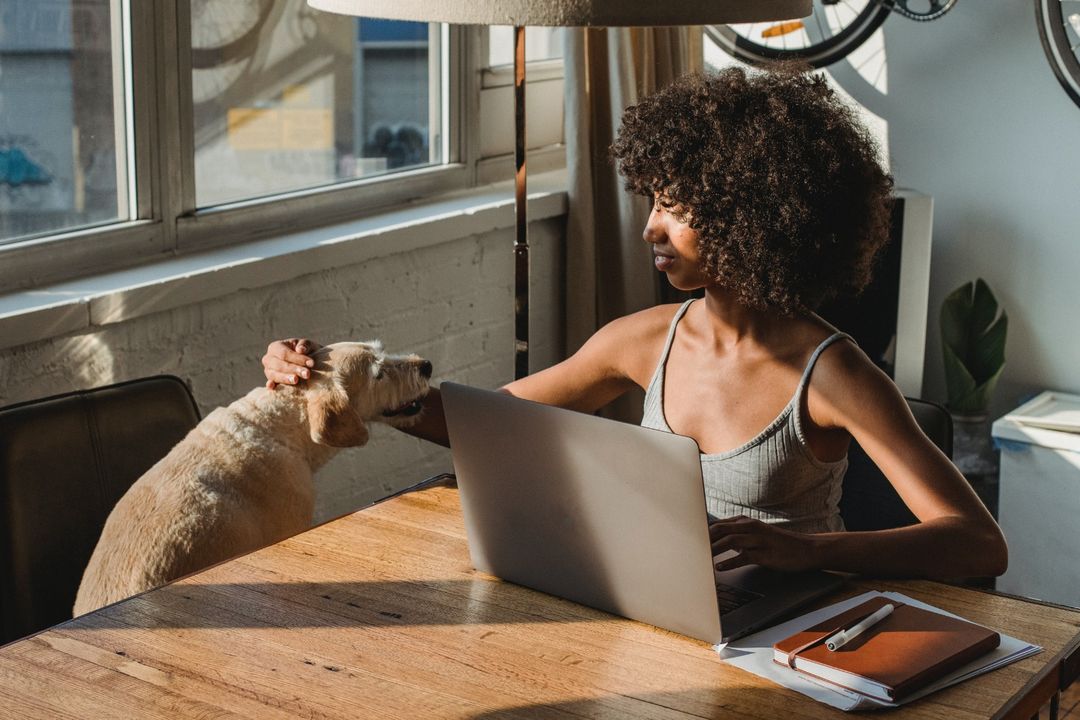 Photo by Samson Katt: https://www.pexels.com/photo/black-remote-worker-with-laptop-caressing-purebred-dog-in-house-5256136/