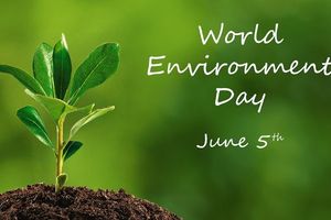 World-Environment-Day.jpeg