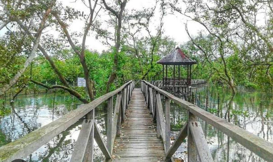 Anggarkan Rp 2 Miliar, Pemkab PPU Revitalisasi Wisata Mangrove Kampung Baru 