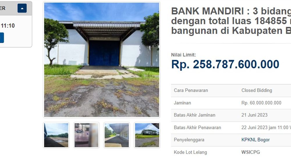 WhatsApp Image 2023-06-06 at 11.11.11.jpeg