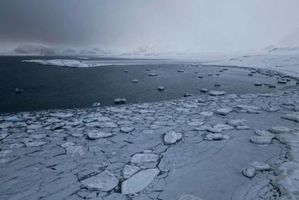 artik kutub utara.jpg