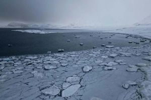 artik kutub utara.jpg