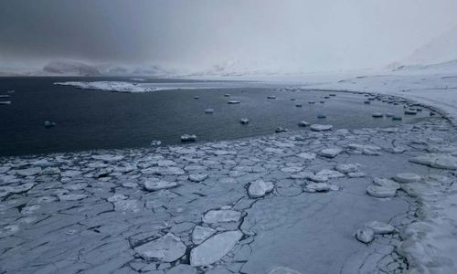 artik kutub utara.jpg