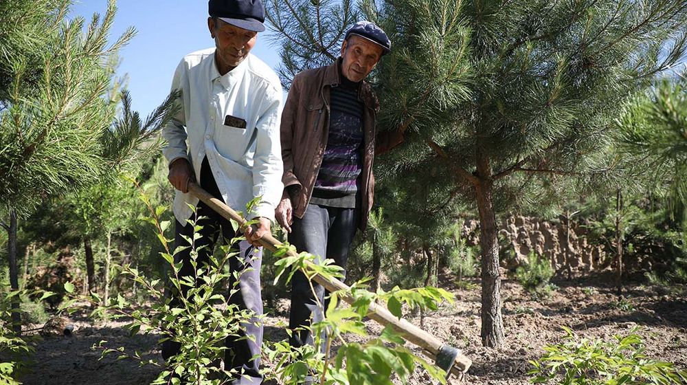 Xu Zhigang dan Xu Zhiqiang,.jpg