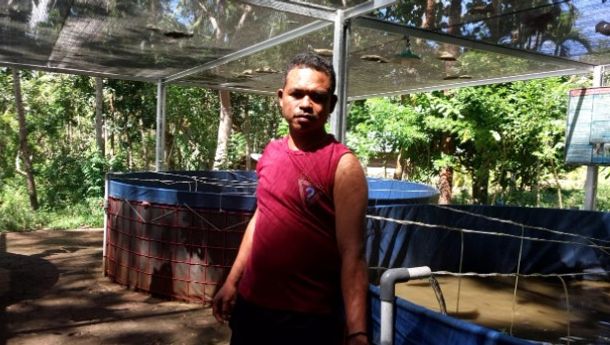 Budi Daya Ikan Lele  Sistem Bioflok Bawa Angin Segar bagi Perekomian Warga Desa Boru Kedang 