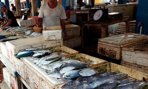 IKAN2.jpeg