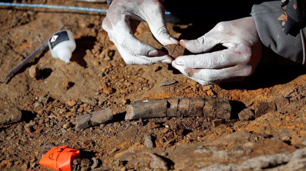 WhatsApp Image 2023-06-17 at 14.18.27.jpeg