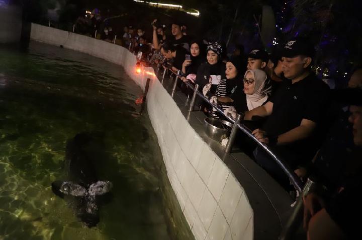 Wali Kota Surabaya Eri Cahyadi menyaksikan hewan di KBS saat soft opening Surabaya Nigh Zoo.
