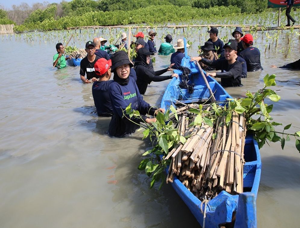 Carbon Offset Telkomsel_4.JPG