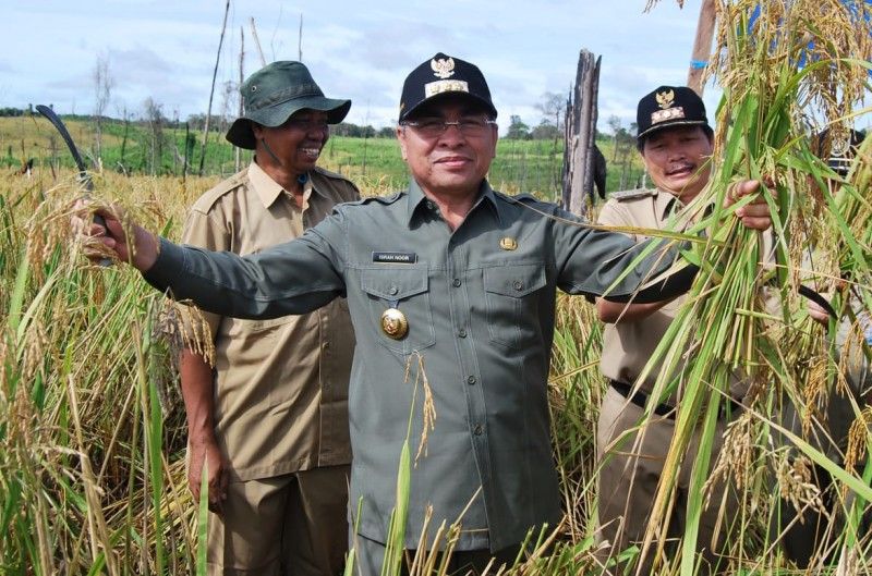 Pemrov Dukung Kabupaten Kutai Timur Jadi Lumbung Padi Kaltim