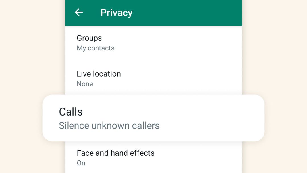 WhatsApp Resmi Hadirkan Fitur Baru untuk Atasi Panggilan Spam