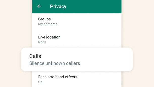 Fitur Baru WhatsApp Mampu Deteksi Panggilan Spam