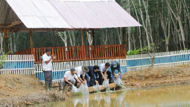 PTPN VII Musi Landas Tambah Embung