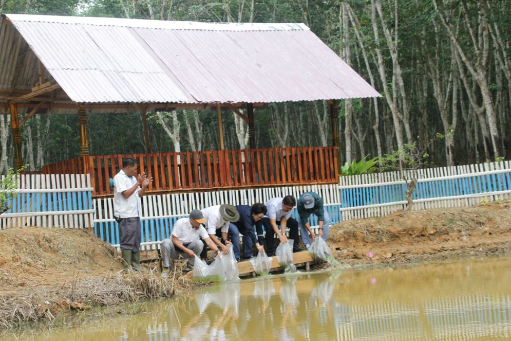 Antisipasi Kemarau dan Karhutla, PTPN VII Musi Landas Tambah Embung 