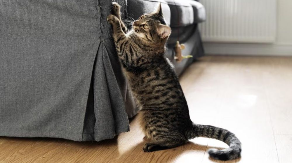 WhatsApp Image 2023-06-25 at 14.03.24.jpeg