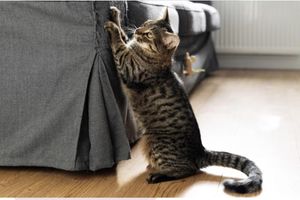 WhatsApp Image 2023-06-25 at 14.03.24.jpeg