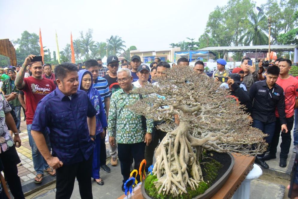 Herman Deru Optimistis Kontes Bonsai dan Lomba Burung Berkicau Dorong Geliat Ekonomi OKU Timur