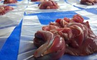 Daging Kurban