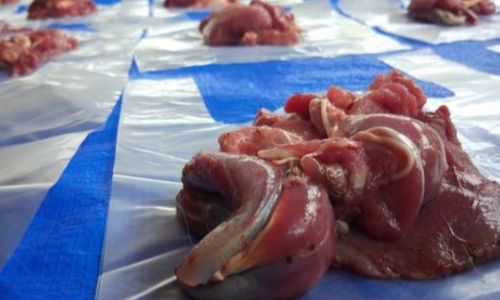 Daging Kurban