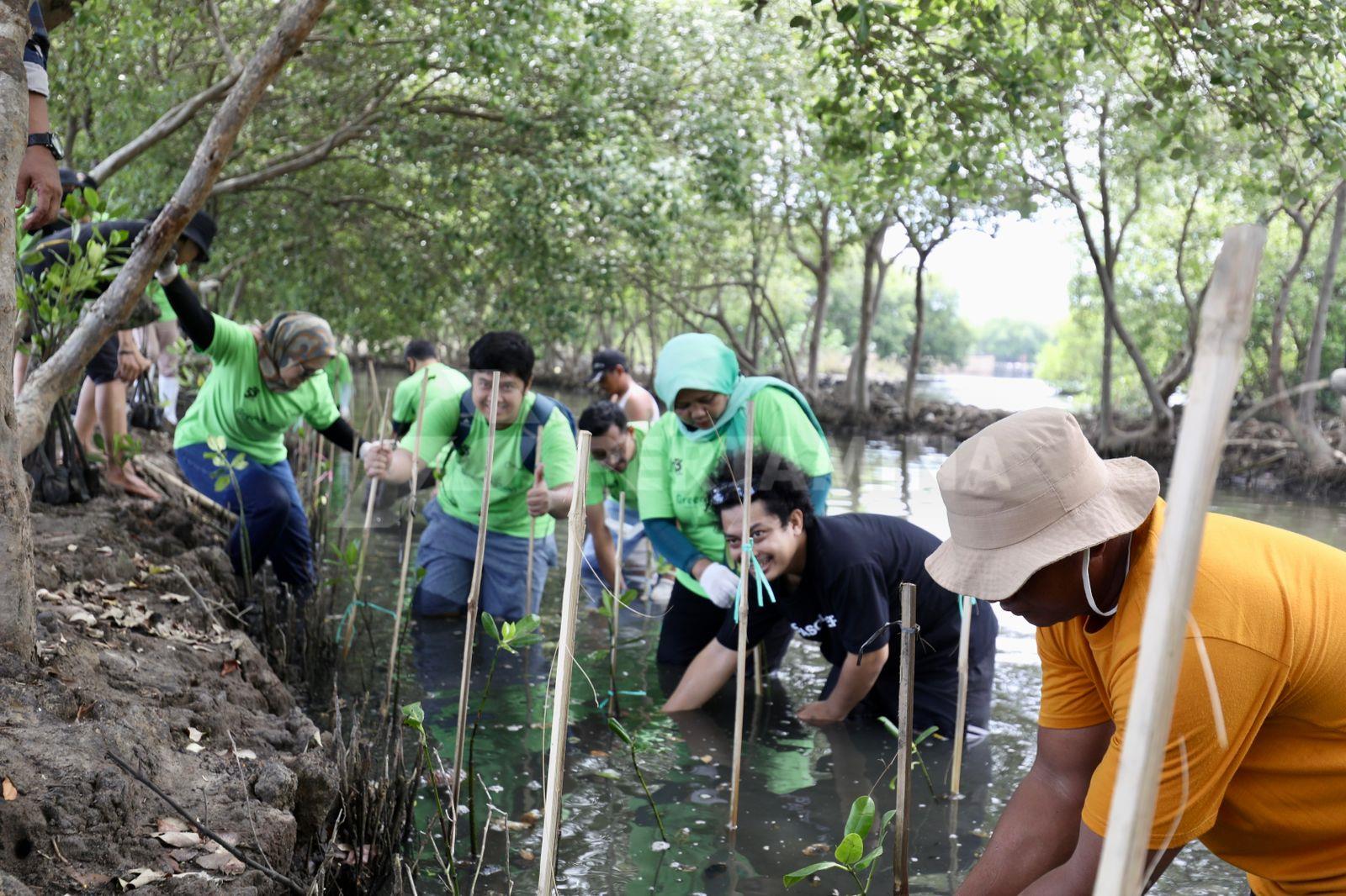 Penanaman bibit mangrove oleh Elnusa dan warga di Banten, belum lama ini.