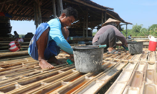 Petani garam sedang memanen garam darat