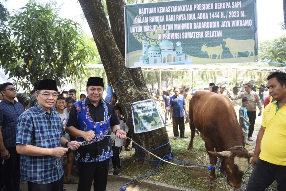 Sambut Idul Adha, Gubernur Herman Deru Serahkan Sapi Kurban ke Sejumlah Masjid 