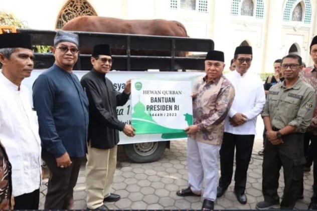 Sapi Bantuan Presiden RI Diserahkan Gubernur Kaltim ke Masjid Raya Darussalam Samarinda (Foto: Adpim Provinsi Kaltim)