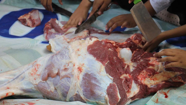 Tips Mengolah Daging Kambing Biar Tidak Bau