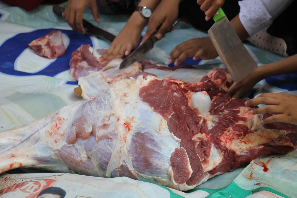 Bau yang ditimbulkan dari daging tersebut berasal dari berbagai sebab seperti usia hewan kurban maupun cara menyembelih hewan kurban itu sendiri. 