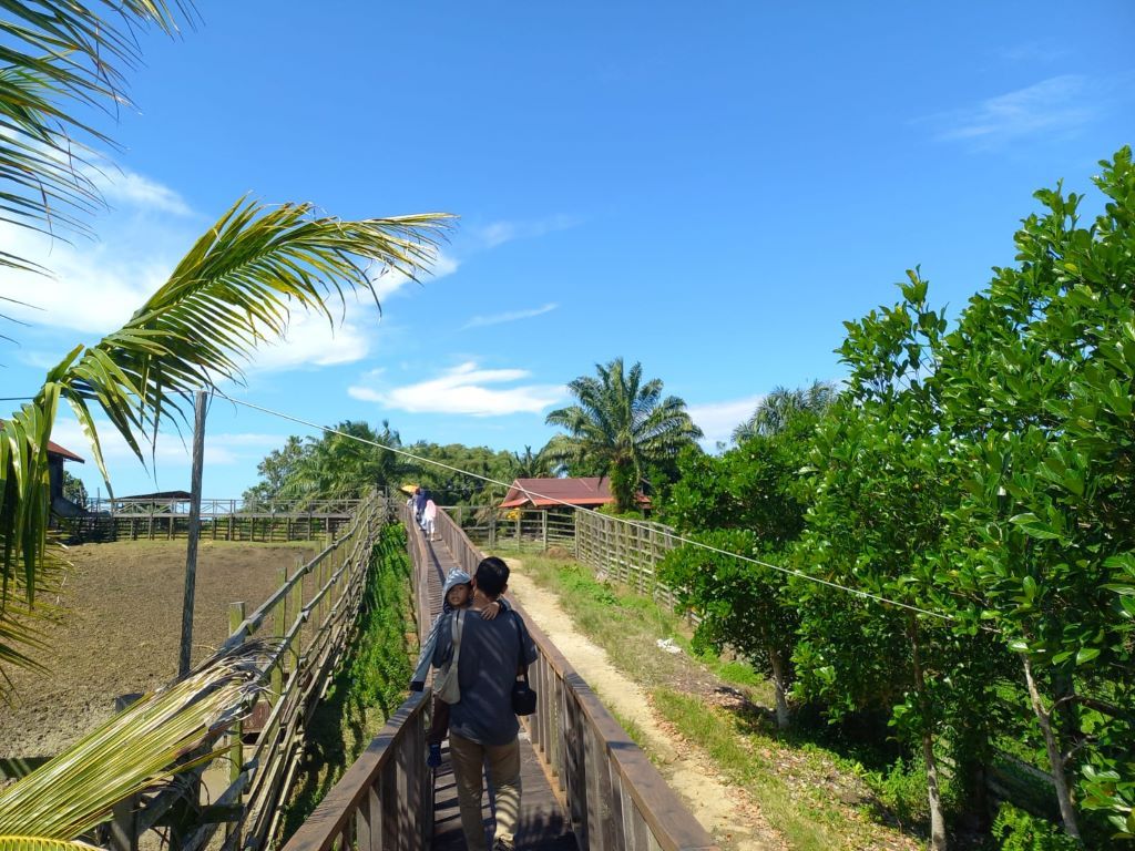 Pengunjung melintas di jalur khusus berupa jembatan kayu yang tersedia di antara kandang rusa. 