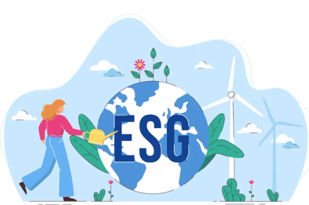 Berikut ini adalah 10 standar dalam kerangka ESG Pemerintah Indonesia