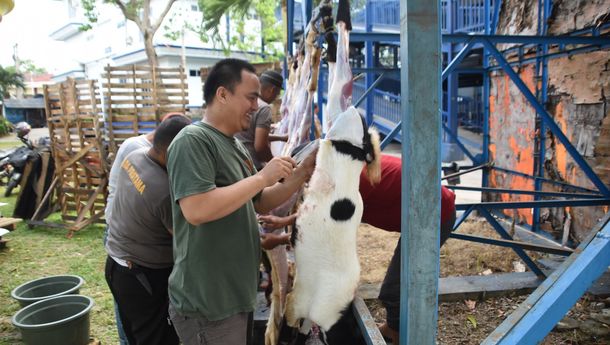 Yayasan Alfian Husin dan IIB Darmajaya Kurban 2 Ekor Sapi dan 5 Ekor Kambing