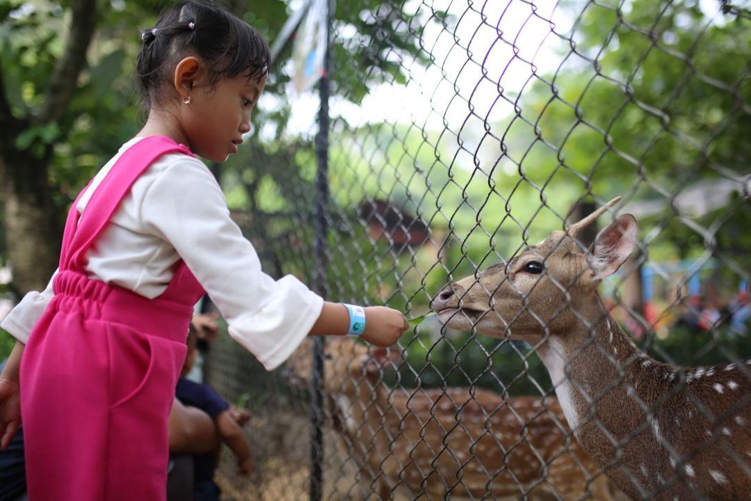 Pengunjung Kebun Binatang Bandung memberi makan koleksi hewan di objek wisata tersebut beberapa waktu lalu.