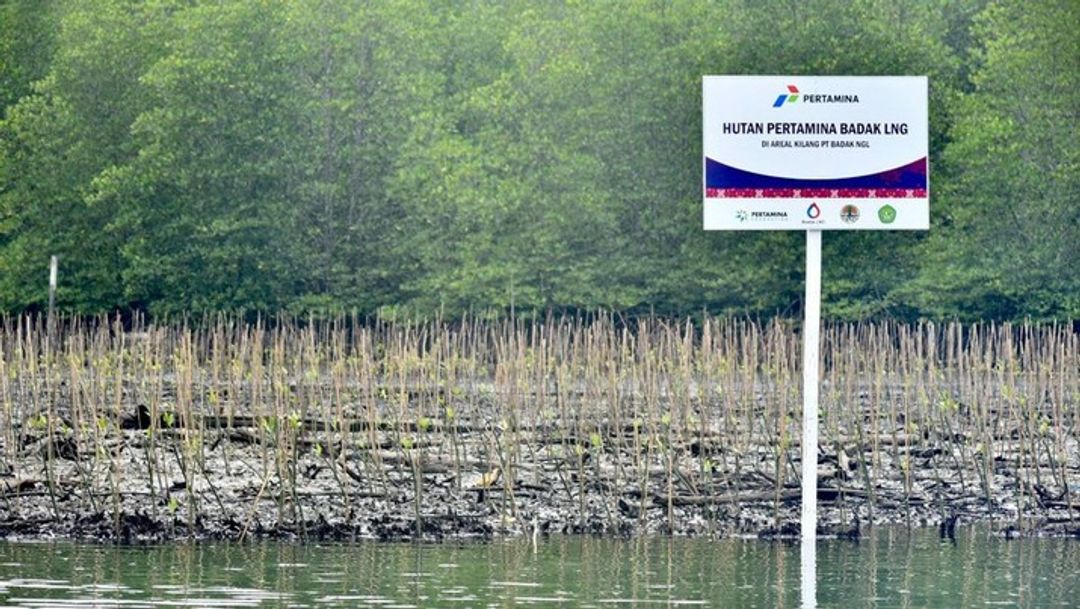 Hutan Pertamina Badak LNG di Bontang, Kalimantan Timur.