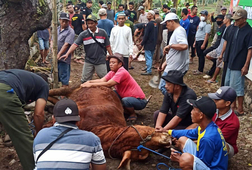 Kurban Yayasan Limaruma 2.jpg