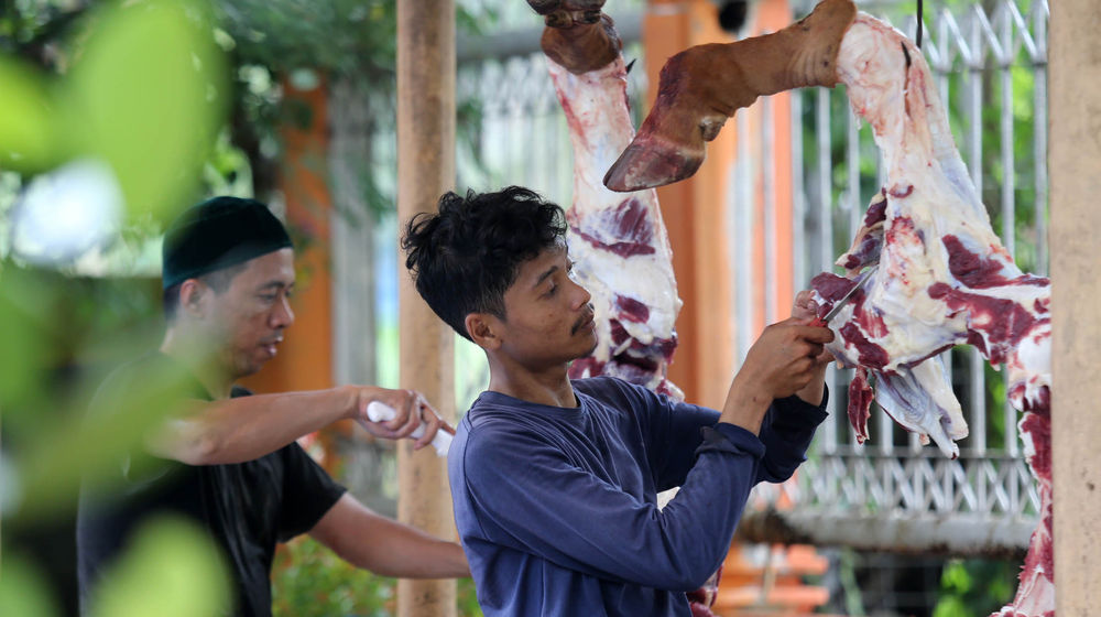 Kurban Yayasan Limaruma 5.jpg