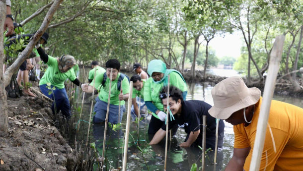 Elnusa Konsisten Tekan Emisi Karbon Lewat Penghijauan Konservasi Mangrove