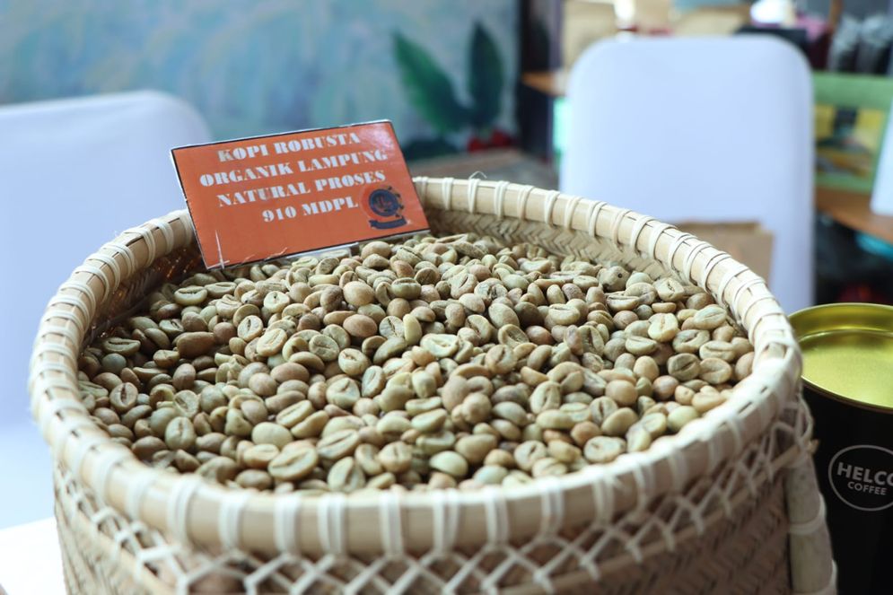Ilustrasi komoditas kopi salah satu sumber Inflasi Lampung pada Juni 2023.