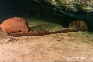 WhatsApp Image 2023-07-04 at 09.46.54.jpeg