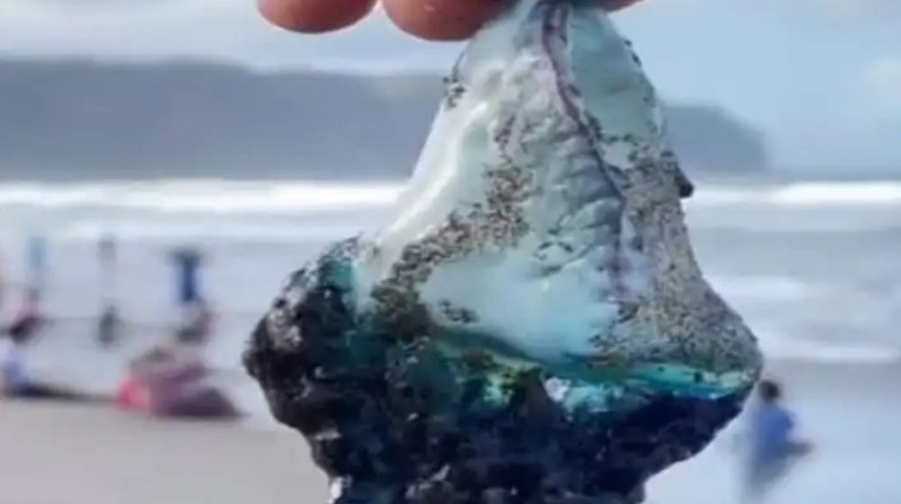 WhatsApp Image 2023-07-04 at 11.42.57.jpeg