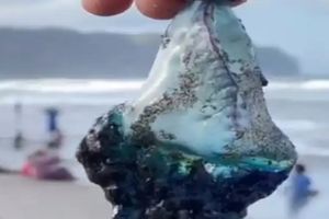 WhatsApp Image 2023-07-04 at 11.42.57.jpeg