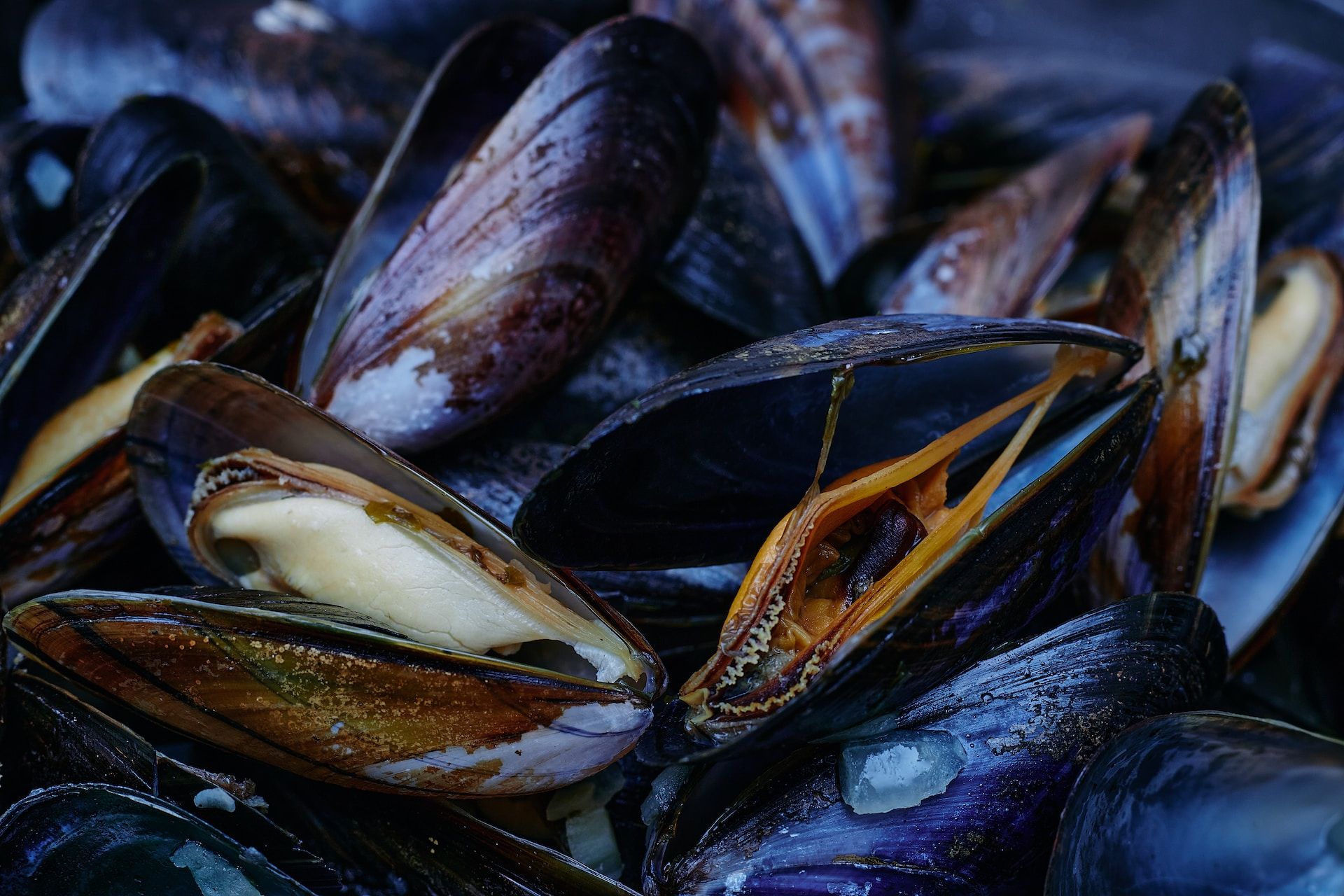 Kerang, produk impor dari Jepang yang dilarang China