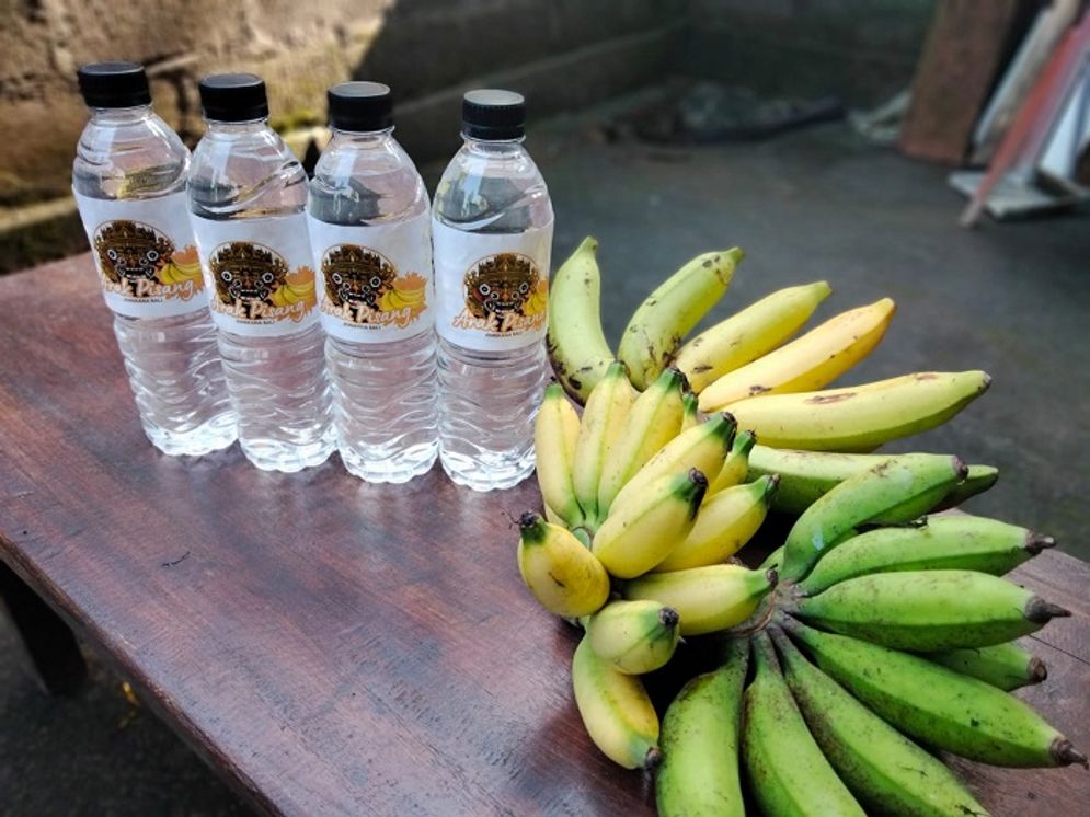 Petani Bali Diminta Olah Pisang Menjadi Minuman Arak Tingkatkan