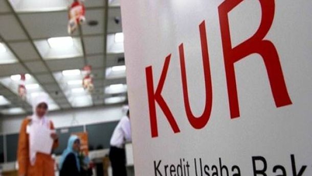 Kebijakan Subsidi KUR Rp450 Triliun Dinilai Matikan Koperasi