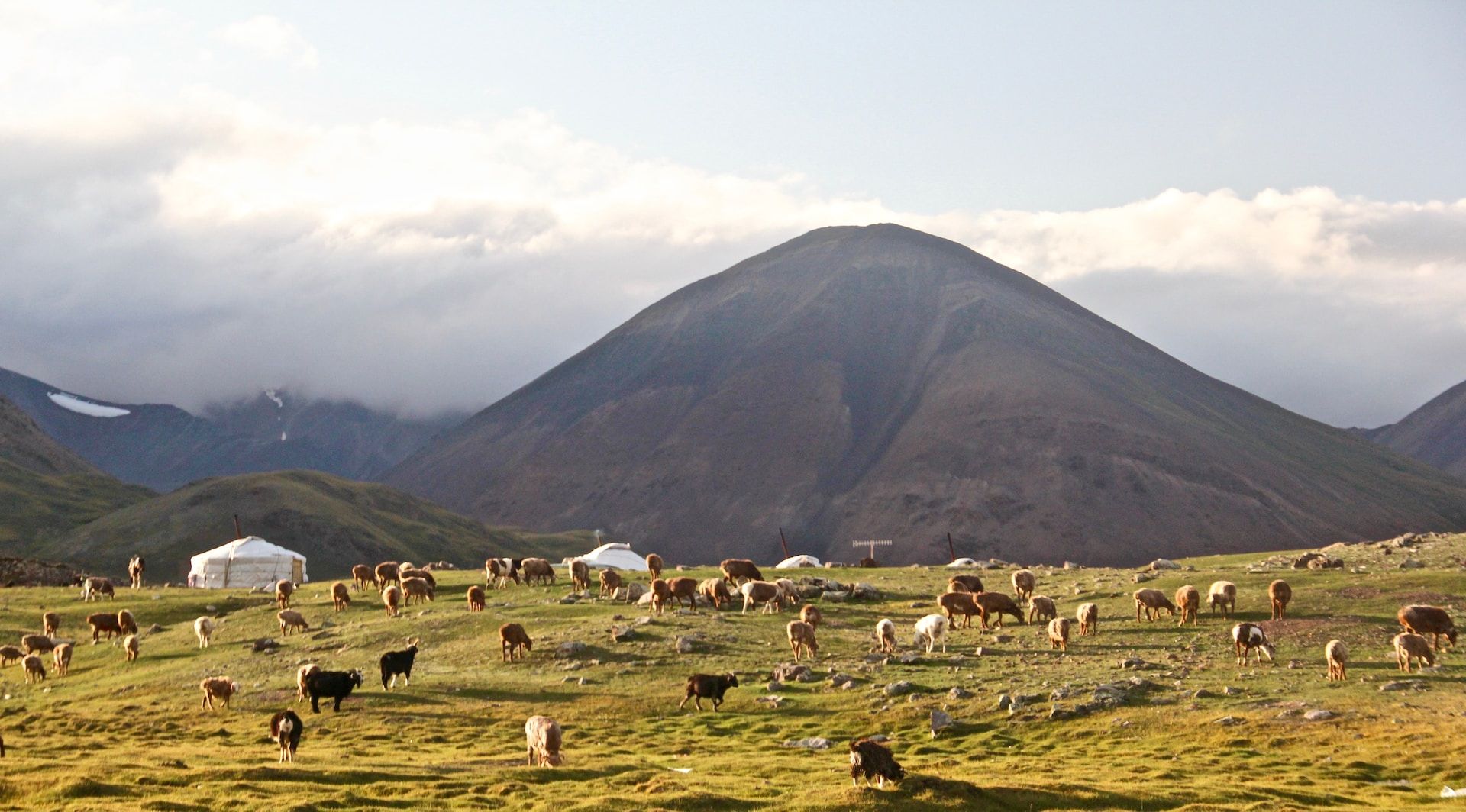 Padang Rumput Mongolia dan Gembala Ternak Masyarakat Nomaden