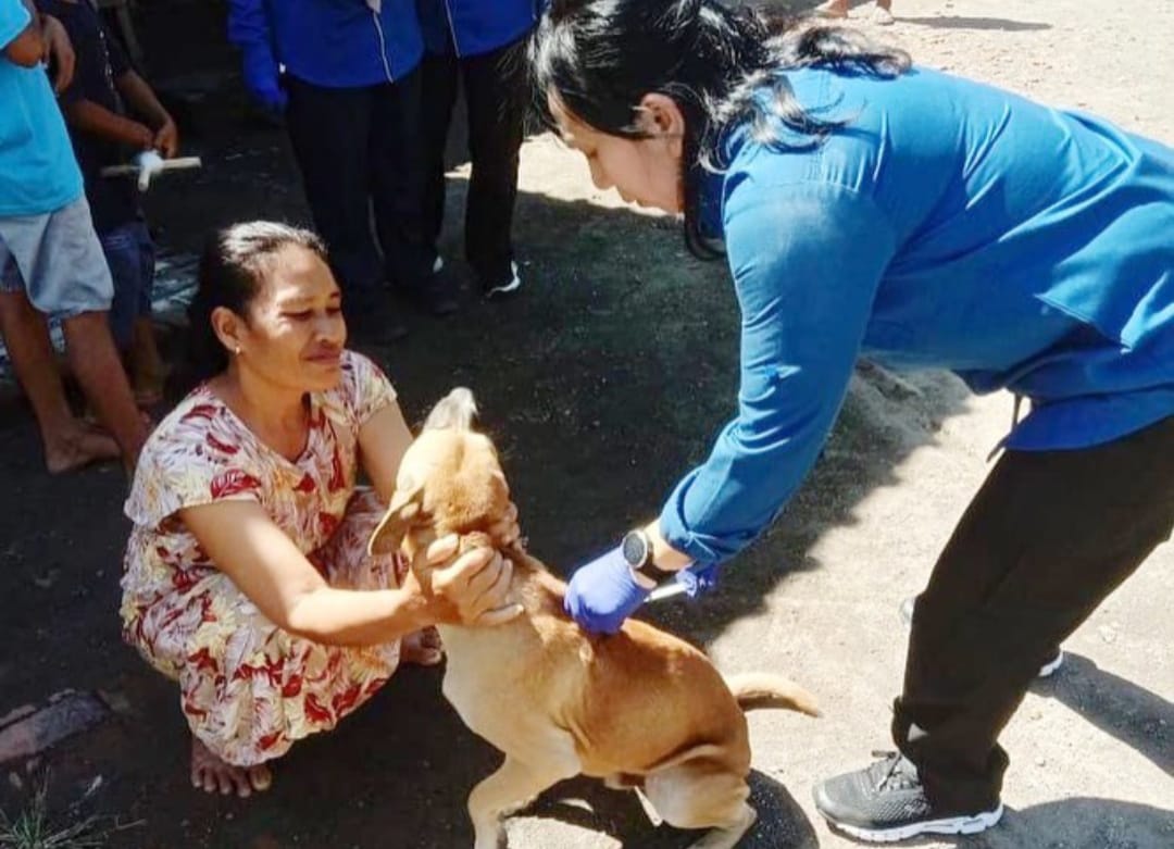 Tekan Risiko Rabies, Pemerintah Banyuwangi Vaksin Anjing dan Kucing di Wilayah Pinggiran