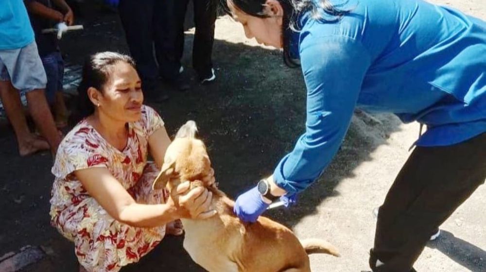 Tekan Risiko Rabies, Pemerintah Banyuwangi Vaksin Anjing dan Kucing di Wilayah Pinggiran