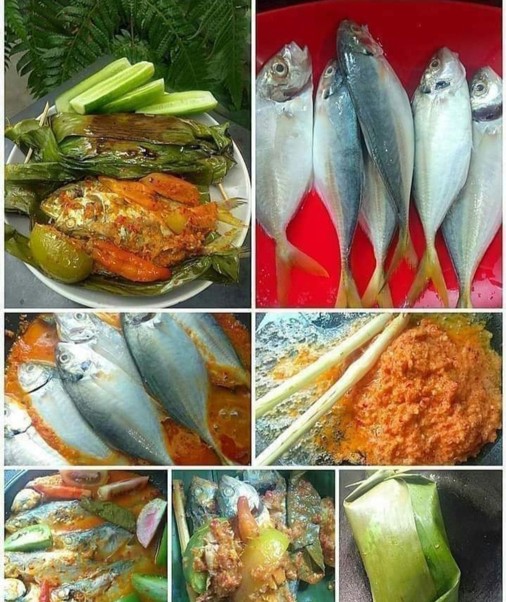 Ikan