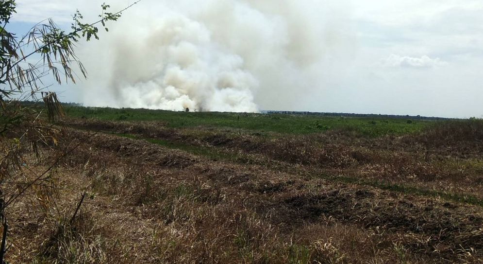 Kebakaran lahan di Kabupaten Hulusungai Selatan, Provinsi Kalimantan Selatan